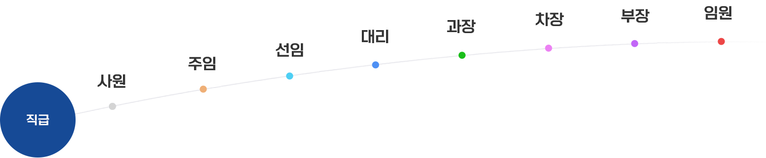 승진체계 - 직급 : 사원-주임-선임-대리-과장-차장-부장-임원